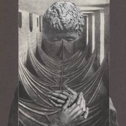 Nyss : Couteaux de Glaces Nyss : Couteaux de Glaces